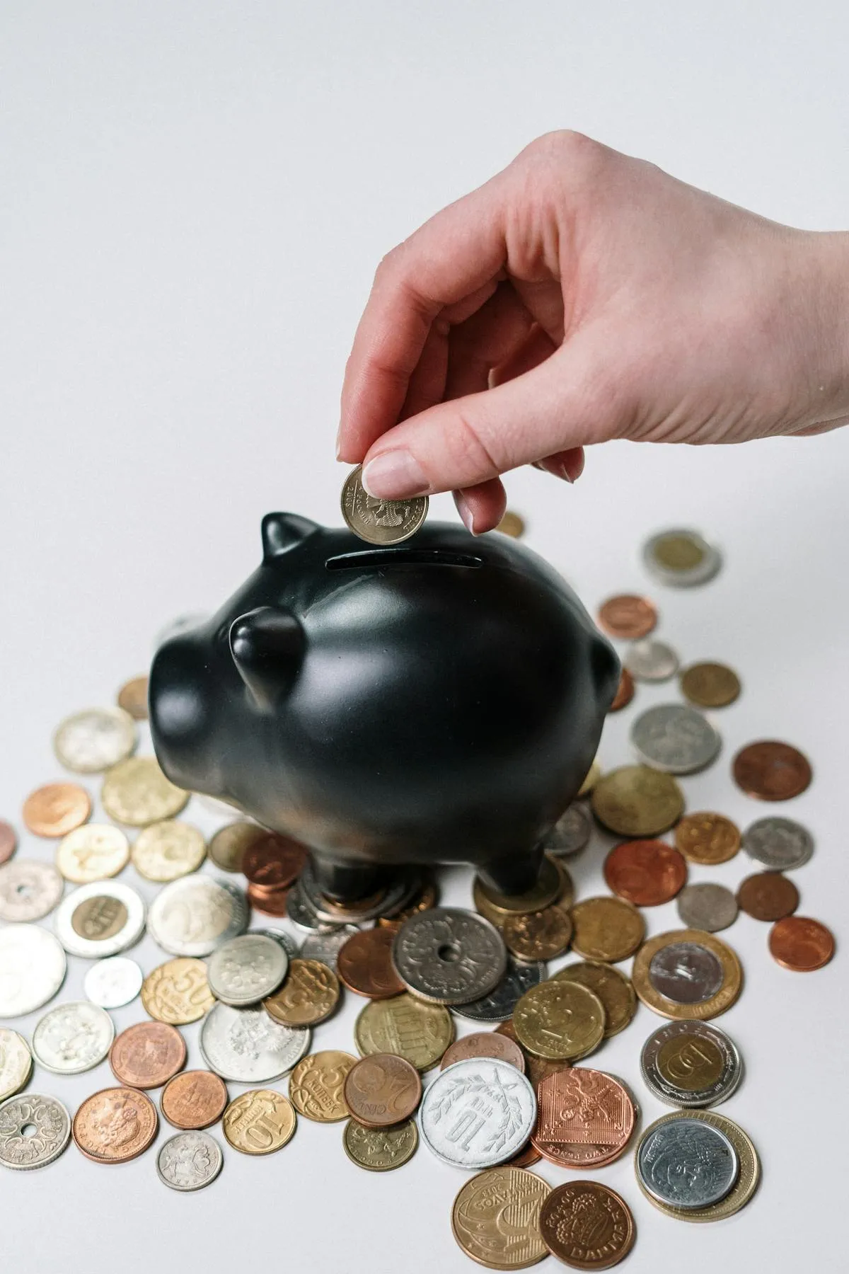Инфографика, представляющая доверие, экспертизу и успех студентов в финансовом обучении.